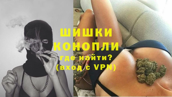 spice Арсеньев
